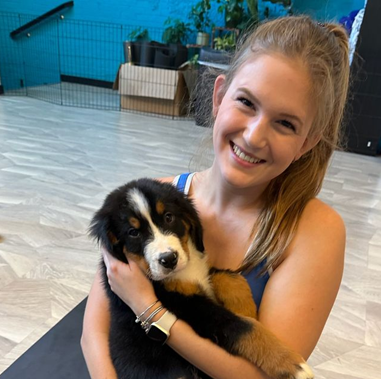 puppy on lap